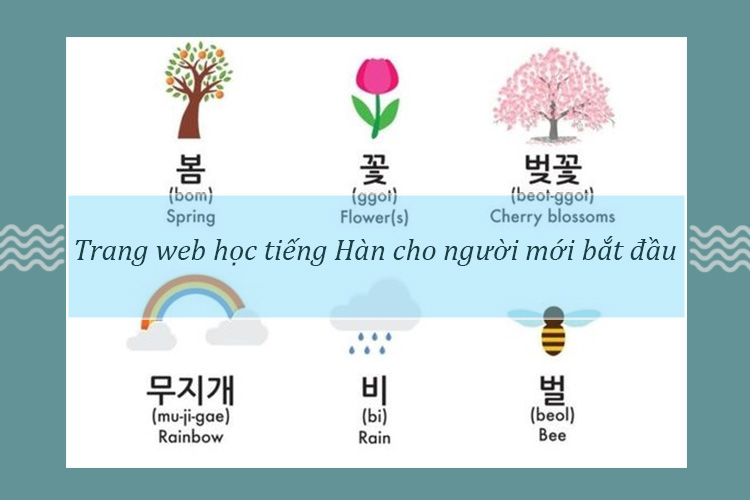 trang web học tiếng Hàn cho người mới bắt đầu