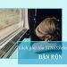 Cách giải tỏa stress cho người bận rộn