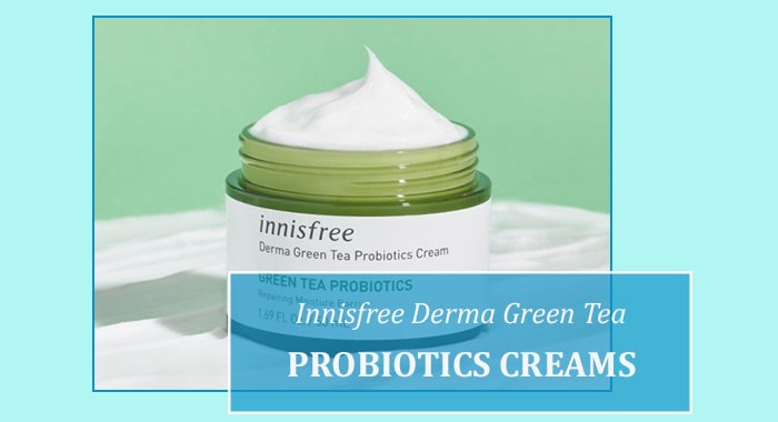 Review kem dưỡng ẩm Innisfree Derma Green Tea Probiotics Cream