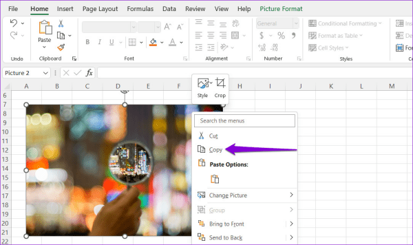 Copy và Paste hình ảnh từ file Excel