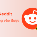 Reddit không vào được