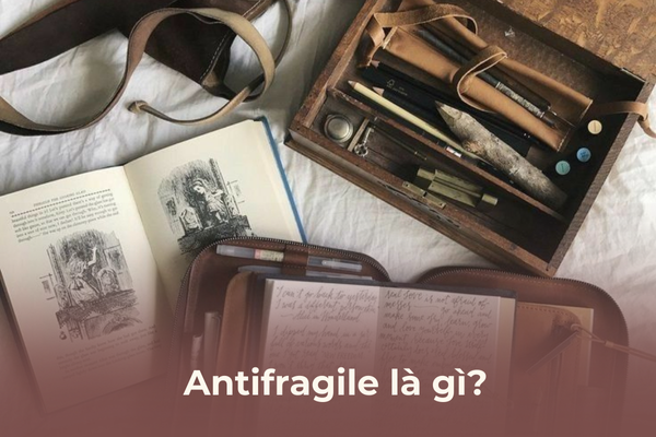 Antifragile nghia la gi