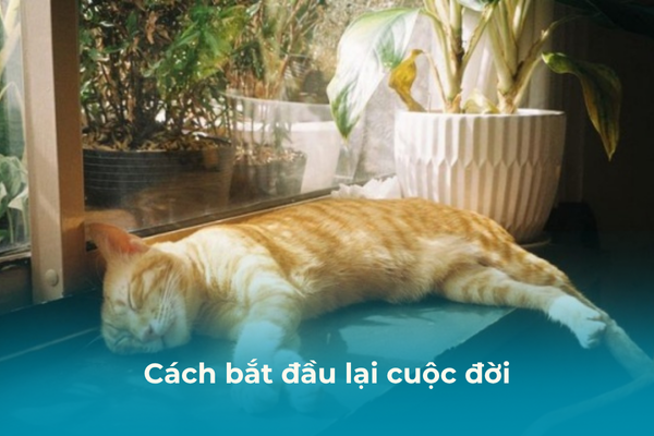 Cách restart cuộc đời